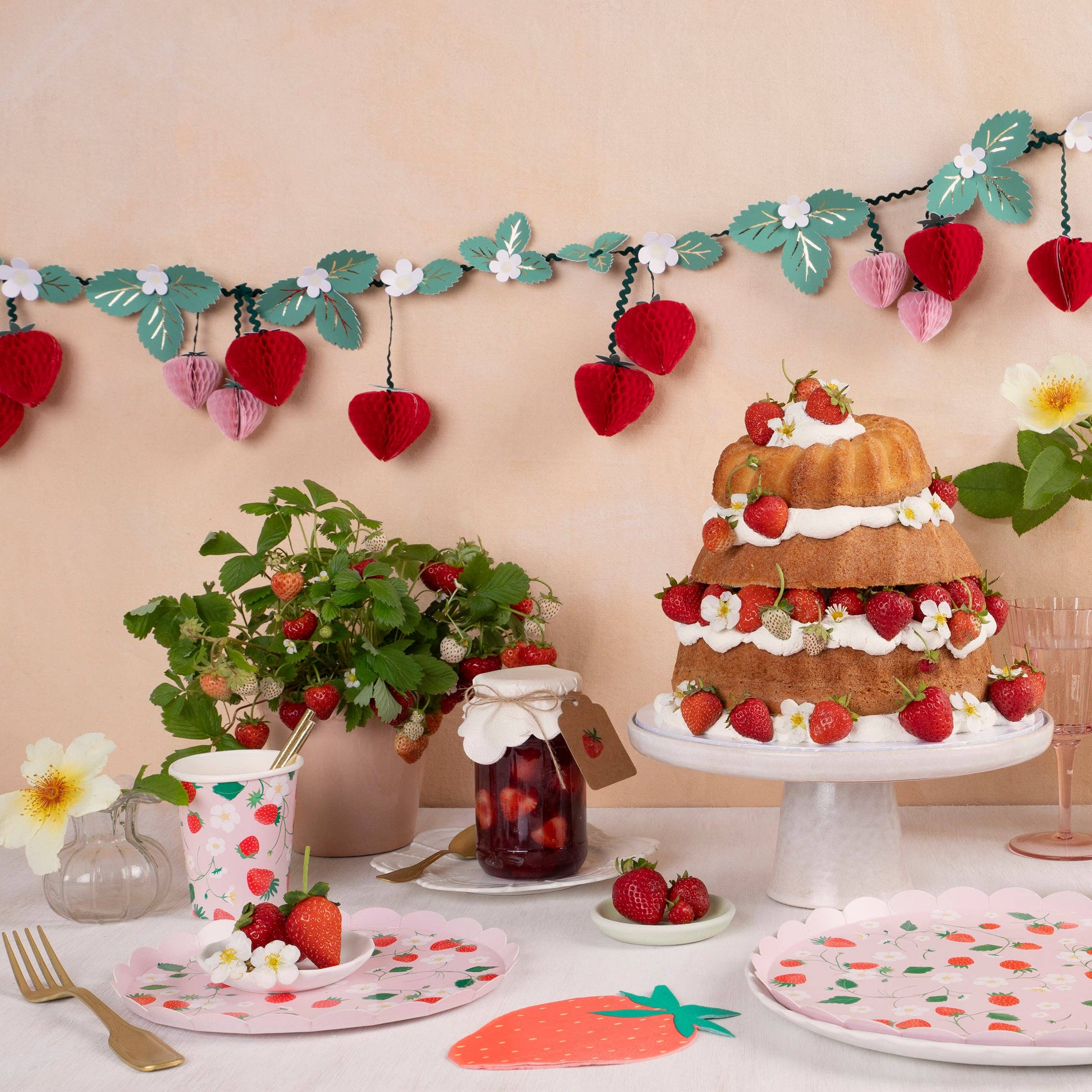 Strawberry Pattern Dinner Plates