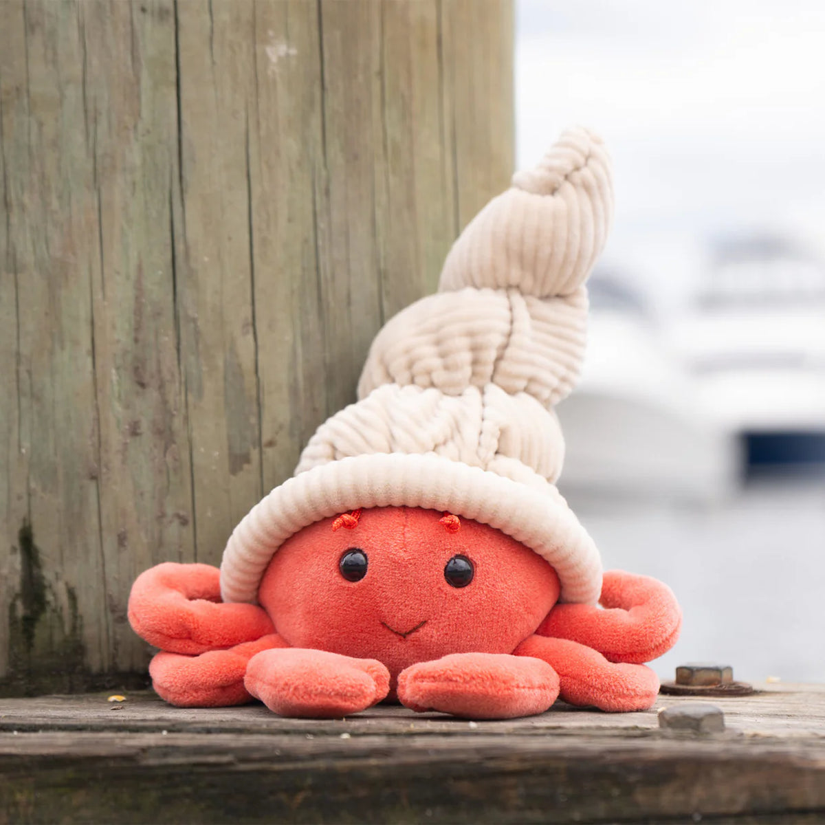 Hermit Crab