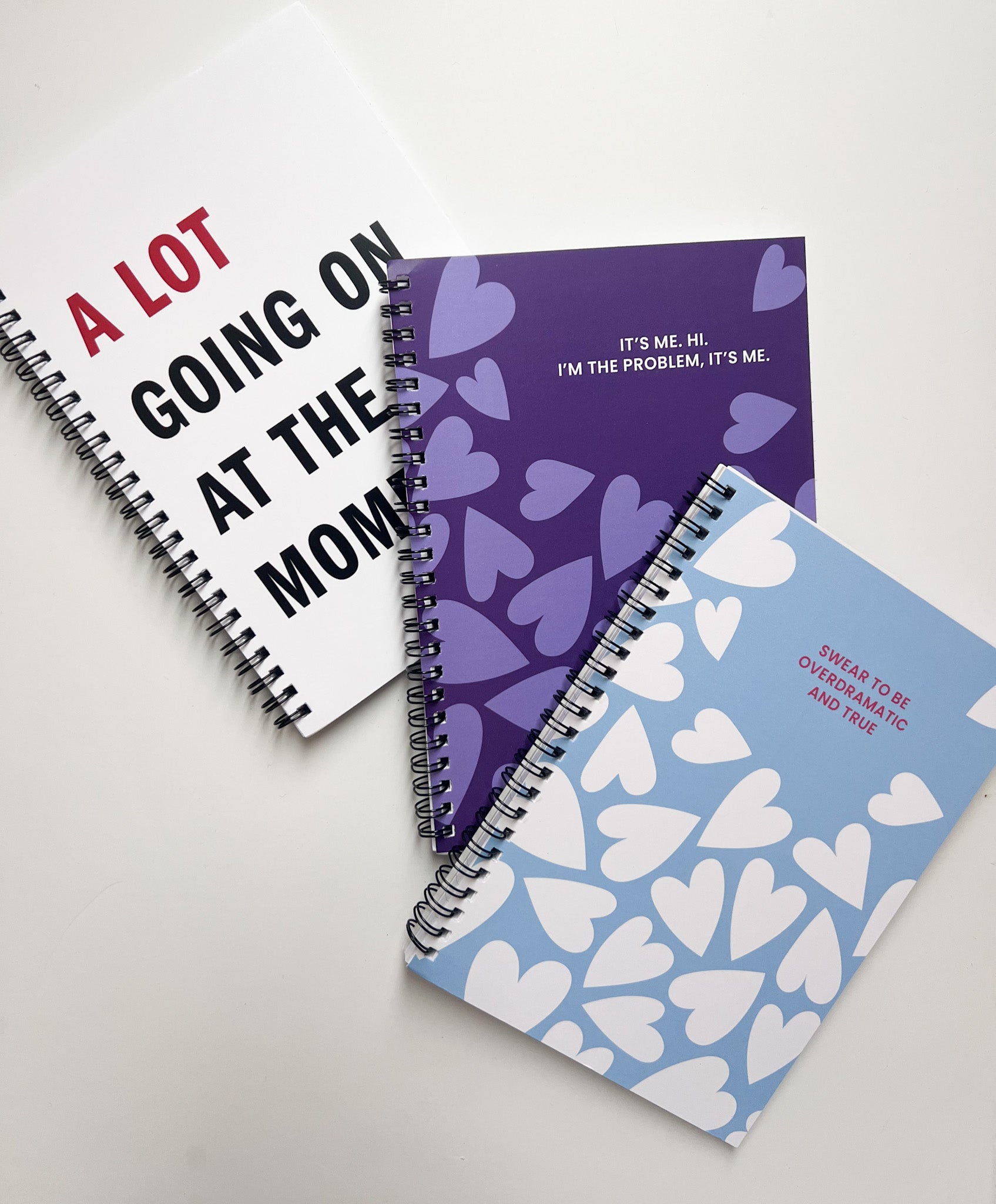 Taylor Swift Journals - FINAL SALE