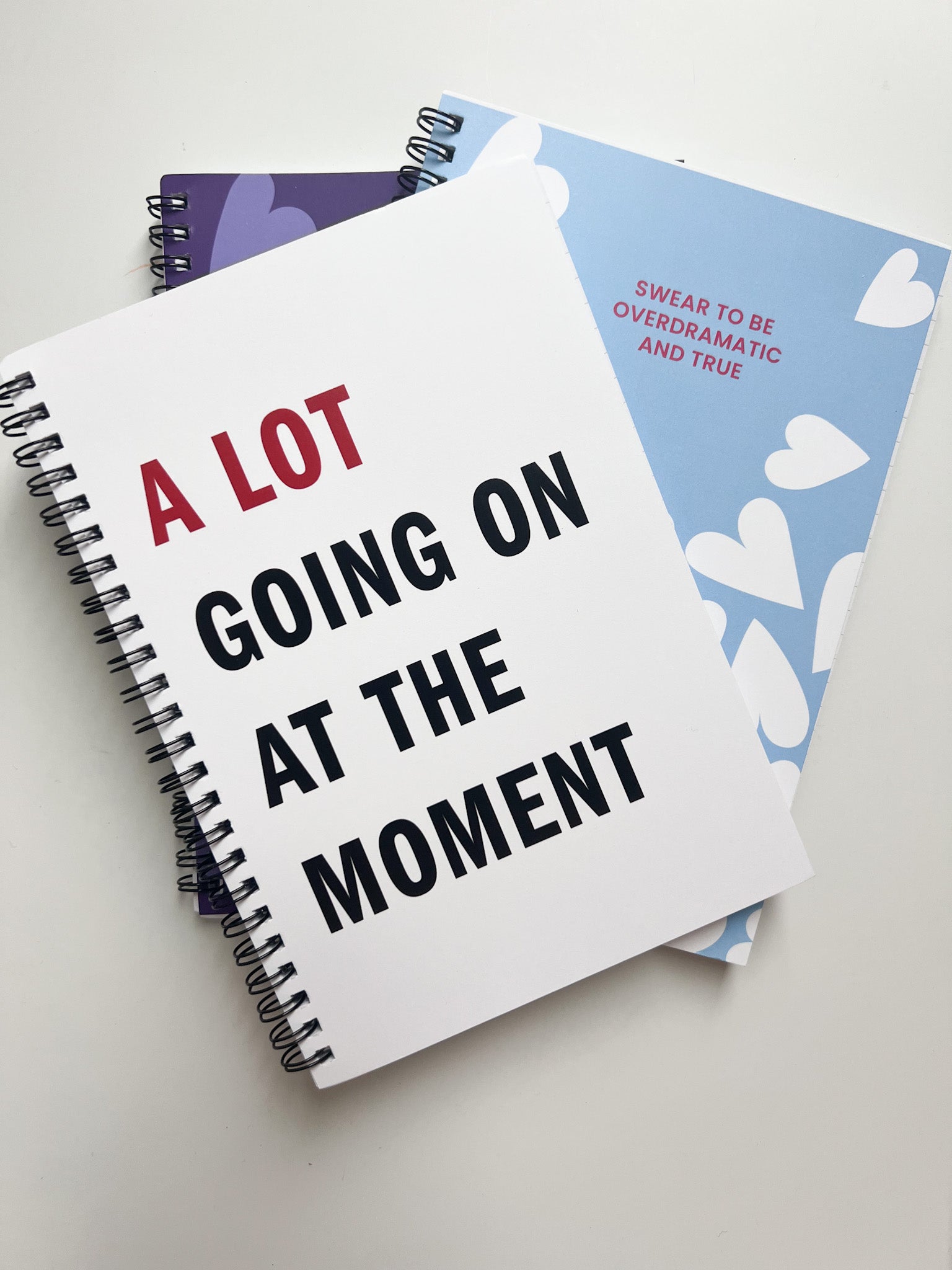 Taylor Swift Journals - FINAL SALE