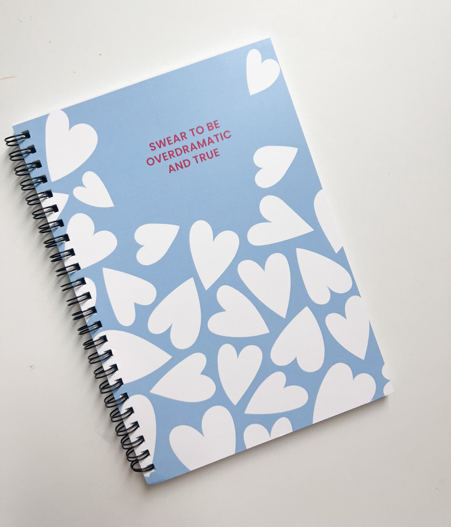 Taylor Swift Journals - FINAL SALE