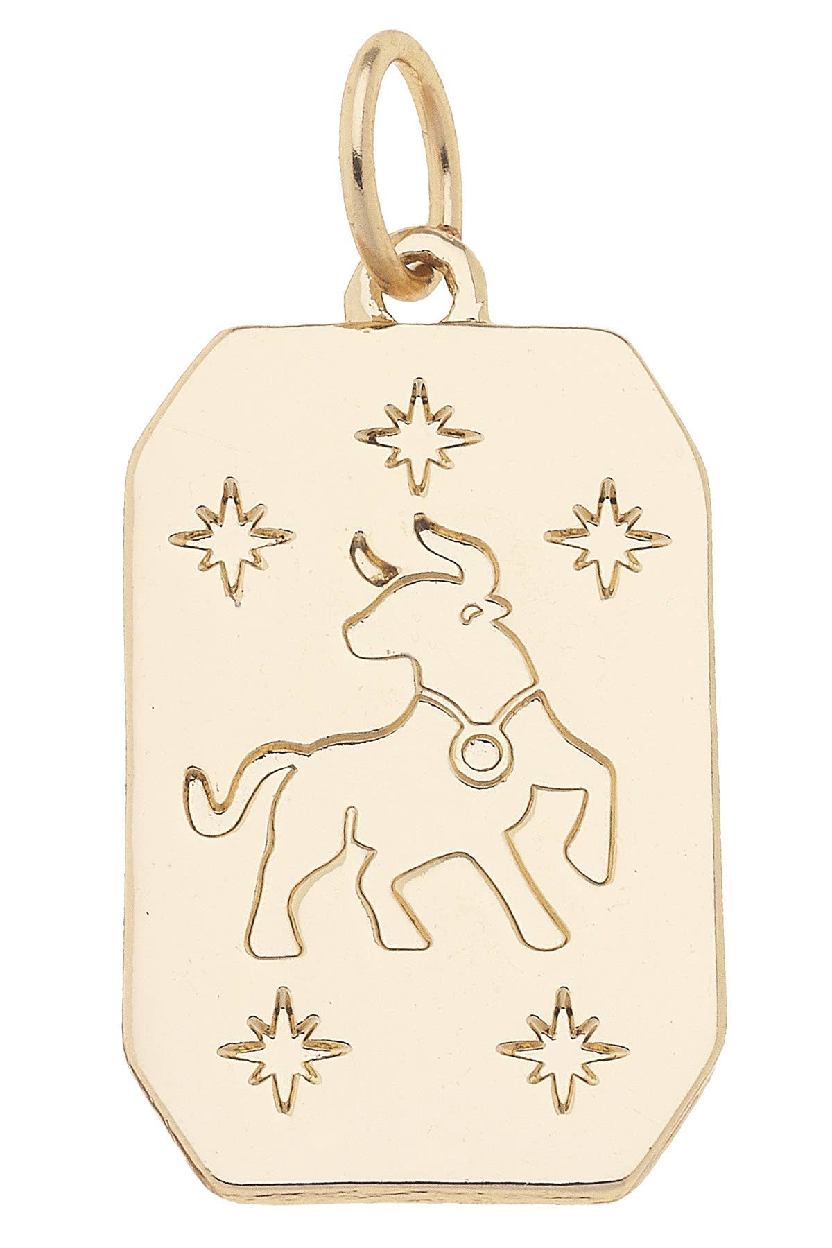 Zodiac Charms Assortment