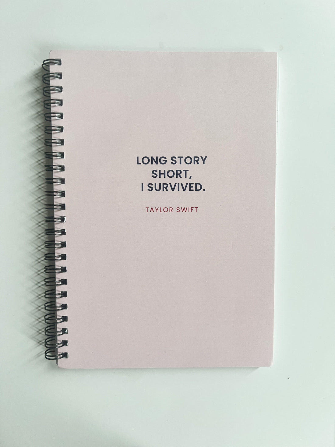 Taylor Swift Journal - FINAL SALE