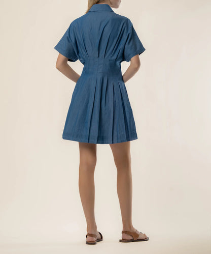 Francesca- Dolman Pleated Dress