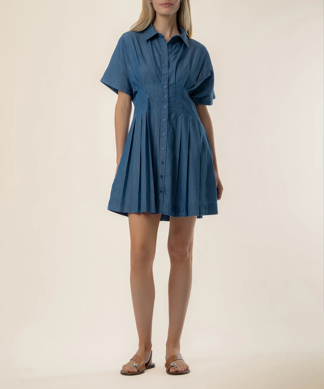 Francesca- Dolman Pleated Dress