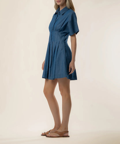 Francesca- Dolman Pleated Dress