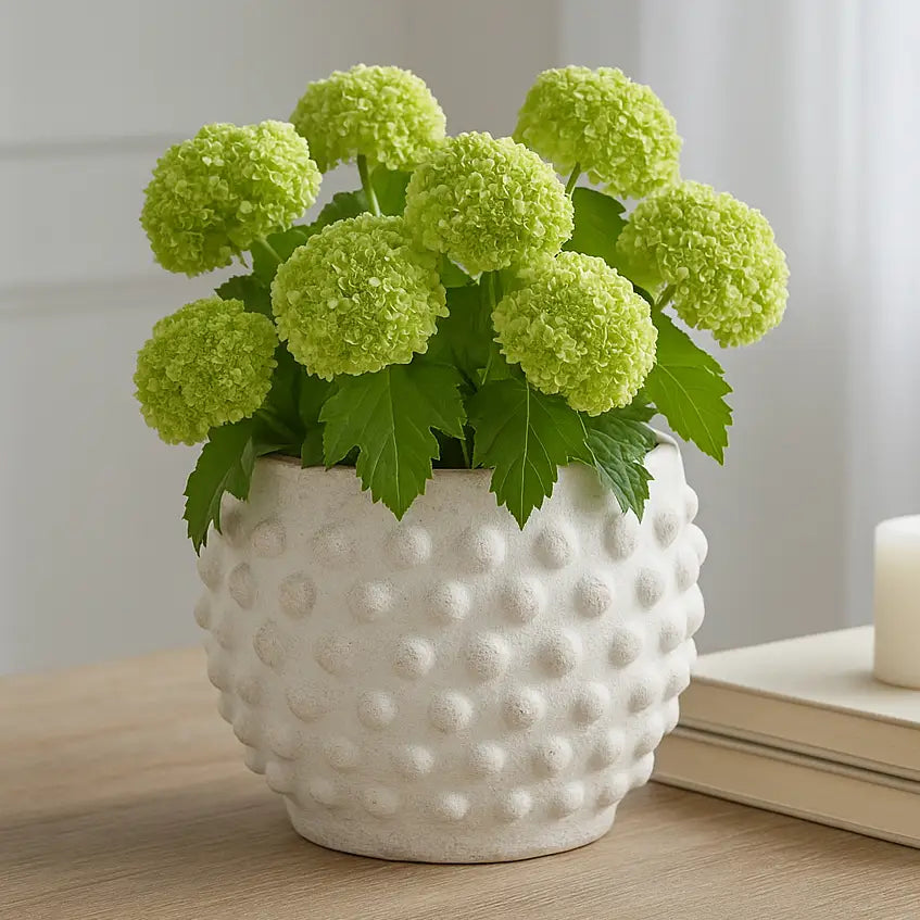 Planter - White Terracotta Round Bubble Rough Finish