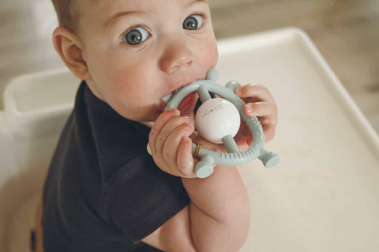 Giraffe Teether &amp; Rattle Toy