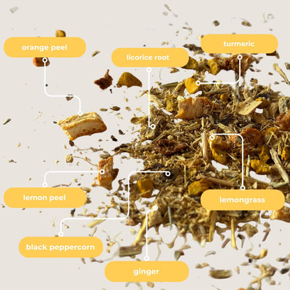 Turmeric Ginger Mini Tea Tube Gift (5 tea bags)
