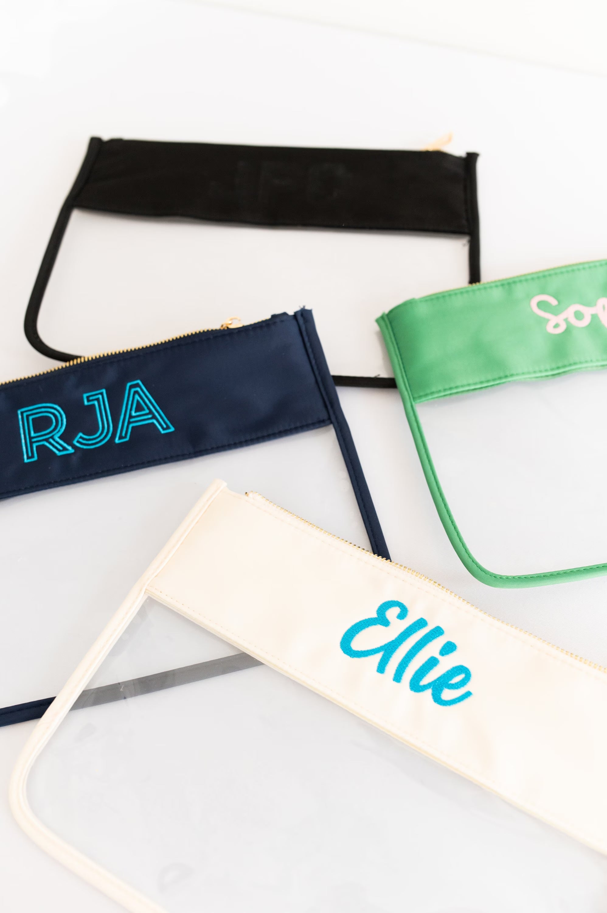 Clear Monogram Nylon Pouch